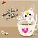 당구25클럽 이미지