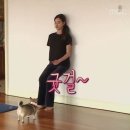 인스파이어 엔터테인먼트 리조트 이미지