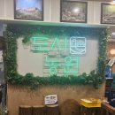 오봉농원 | 수원 인계동 맛집 도시농원 수원인계본점 닭볶음탕 닭한마리