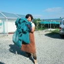 채송화농장 이미지