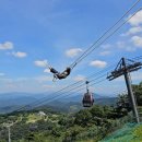 수정파크사우나 | 홍천 가볼만한곳 :: 스카이스윙│ 소노펠리체 비발디파크 루지월드