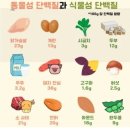 유니시티코리아(유) | 단백질 섭취의 중요성-단백질의 효능과 40대 임산부의 섭취 후기