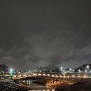 지안동물의료센터 이미지