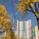 센트럴약국 | 더샵 부평 센트럴시티 민간임대 59A타입 일반공급 사전점검 후기