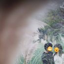 오리나무길 이미지