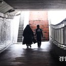 소풍나라 이미지