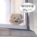 도라(Dora) | [부산/전포] 인생 카레 등극! 도라보울 앤티크한 분위기에 맛까지 완벽했던 아점 식사🍽️ 내돈내산 솔직후기