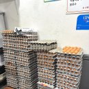 소요분식 | 정왕동맛집 이모분식 김밥 내돈내산 후기