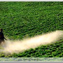 흥농농약사 이미지