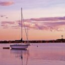 남자는배여자는항구 이미지