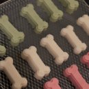 댕마싯개 이미지