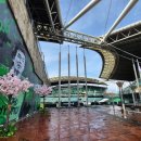 큰나무 주식회사 | [렌탈 후기] 전주 월드컵 경기장 ‘현대가 더비’ 100주년 현장! 아트몰 벚꽃 나무로 완성된 봄의 축제