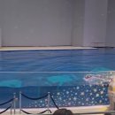 바다반 별하의 제주도 여행❤️❤️ 이미지