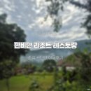 판 | 치앙마이 숙소 판비만리조트 조식 식당 레스토랑 후기