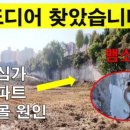 소굴속 이미지