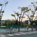 은평공원 농구장