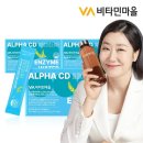 cd마을 쇼핑하우