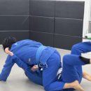 금천유도체육관 이미지