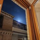 궁전 | [스페인] 그리나다, 알함브라 궁전 후기 (+준비물 꿀팁)