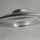 낙동초등학교 이미지