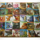 동물은내친구 이미지