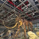 국립중앙과학관 이미지