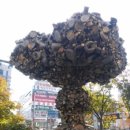 천안종합터미널 이미지