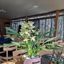 마운틴관광농원 이미지