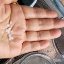 영남제일횟집 이미지