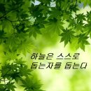 스스로 돕는 자+산화그래핀해독영상+마스크 이미지