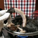 산곰장어짚불구이 이미지