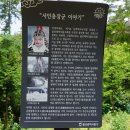 옥류천이야기길(소나무숲길) 티스토리