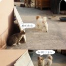 일로 이미지