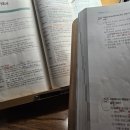 지에스25 모충로채점 | [일상] 2026 - 1