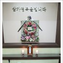 새롬애견 이미지