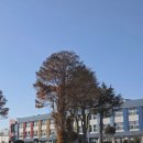 보성중학교 | 보성중학교 KQCI 독서법 강의 후기