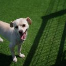 수와래펜션 이미지