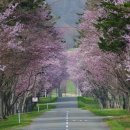 초우목장 이미지