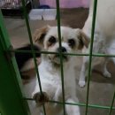 여주-1081 이미지