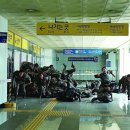 신비돌스 랙돌 캐터리 이미지