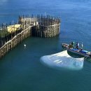 지족 죽방렴홍보관 이미지