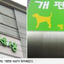 개편한카페 이미지