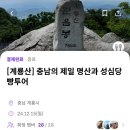 12월 눈내린 장태산 + 성심당 빵투어 페어플레이 기획셔틀 후기