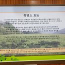 산천흑염소 이미지