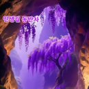 동반자 - 11135 | 동반자