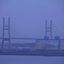 기지시줄다리기박물관 이미지