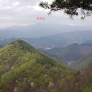 학천마리