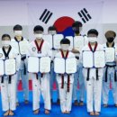 참사람태권도 이미지