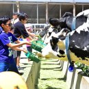 수문목장 이미지