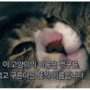 중앙뷰티
